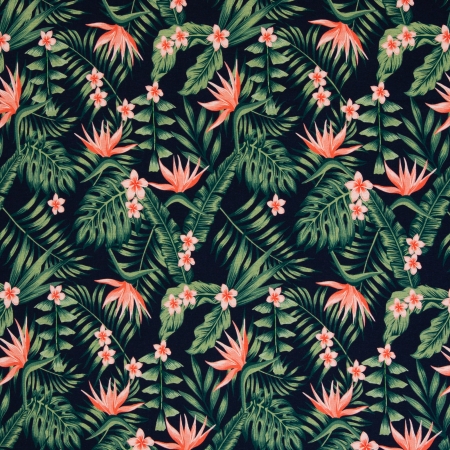 Jersey - Strelitzien - schwarz Jersey - Strelitzien - schwarz